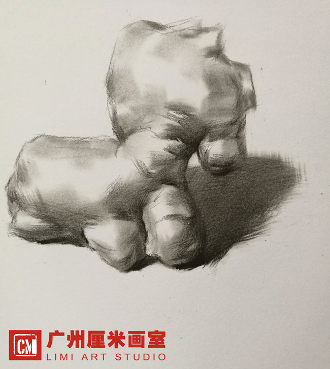 随堂笔记 : 素描单物教学——生姜